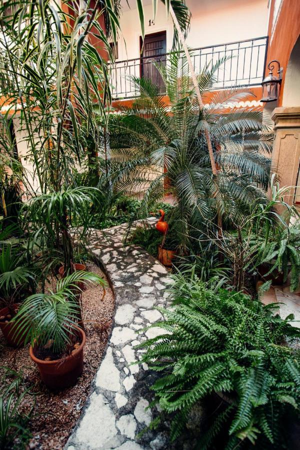 Hotel Quinta Marciala Mx Valladolid  Bagian luar foto