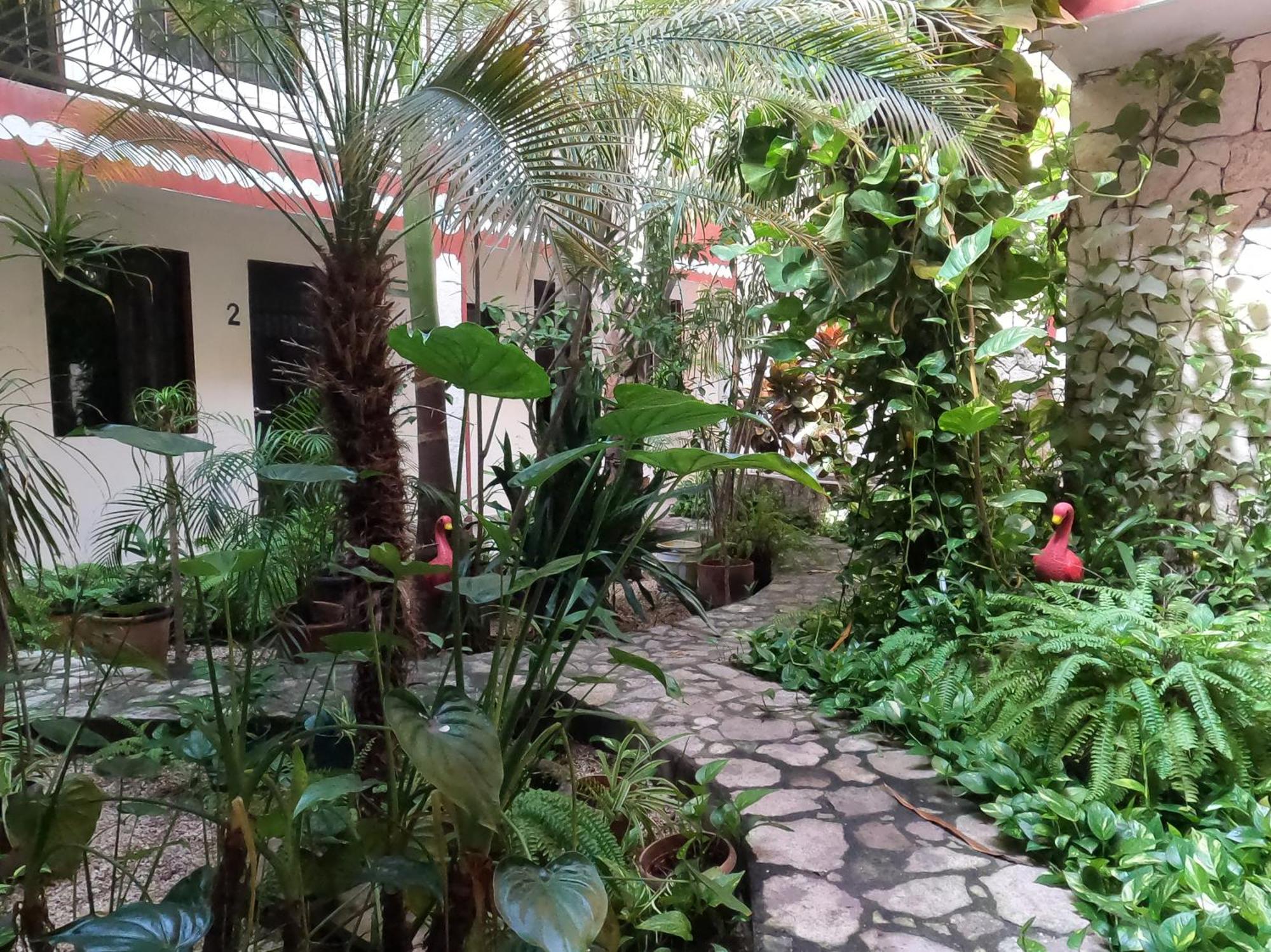 Hotel Quinta Marciala Mx Valladolid  Bagian luar foto